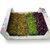 ART_kre476_1 Asia Kresse Mix 16 x 100g Schale Niederlande