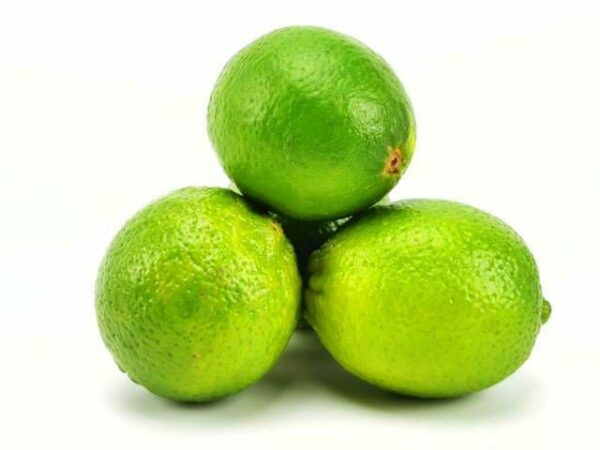 Limette  48 Stück Karton  Brasilien