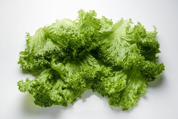Lollo Bionda Einzelblatt  500 g Beutel  Spanien