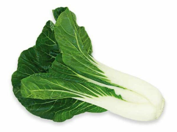 Mangold grün  5 kg Kolli lose  Italien