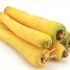 ART_moeh030_1 Möhre gelb Mellow Yellow 10 kg Sack lose Deutschland