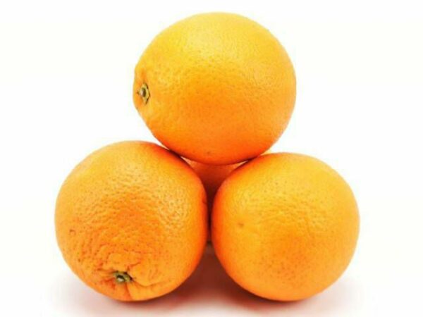 Orange  15 kg 40 Stück Kolli  Südafrika