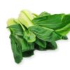 ART_pak011_1 Mini Pak Choi 5 kg Kolli lose Deutschland