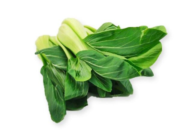 Mini Pak Choi  5 kg Kolli lose  Deutschland