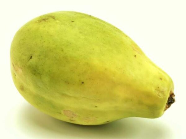 Papaya  9 Stück Karton  Brasilien
