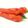 ART_pap024_1 Spitzpaprika rot Ramiro 4 kg Kolli lose Niederlande