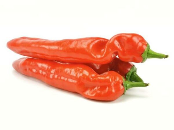 Spitzpaprika rot Ramiro  4 kg Kolli lose  Niederlande