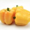 ART_pap040_1 Paprika gelb 5 kg Karton lose Niederlande