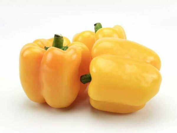 Paprika gelb  5 kg Karton lose  Niederlande