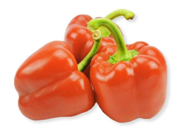 Paprika rot  5 kg Karton lose  Polen