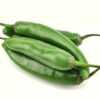 Pimientos de Padron  3 kg Karton lose  Deutschland