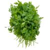 ART_pet061_1 Petersilie glatt 5 kg Kolli lose Italien