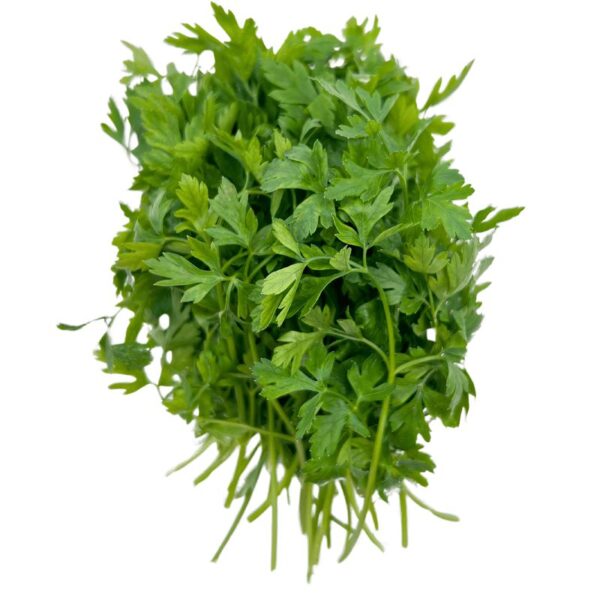 Petersilie glatt  5 kg Kolli lose  Italien