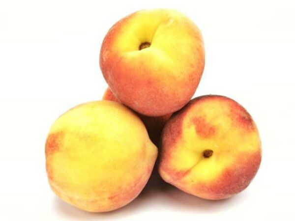 Percocche 4,5 kg Kolli  Italien