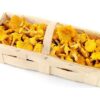ART_pfi053_1 Pfifferlinge frisch Standard 1 kg Korb lose Polen