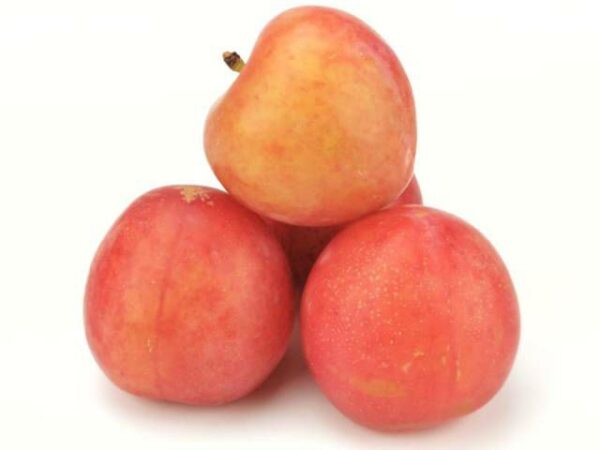 Pflaume gelb 11 kg Kolli  Italien