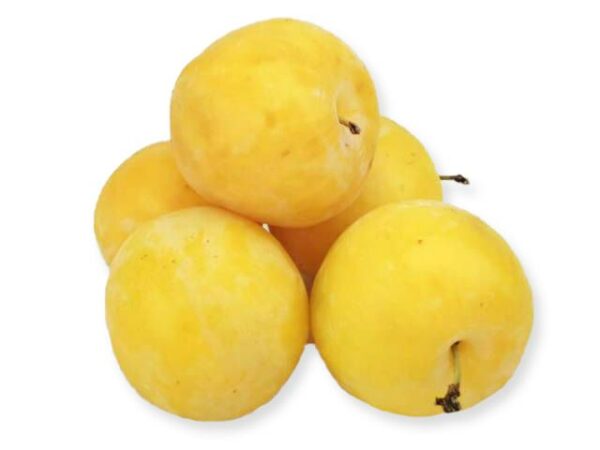 Pflaume gelb  10 kg Kolli  Italien