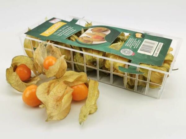 Physalis Kapstachelbeere  12 x 100 g Schale  Kolumbien