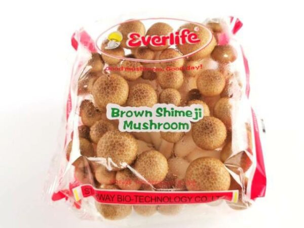 Shimeji braun Buchenpilz  10 x 150 g Schale  China