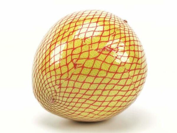 Pomelo rot 10 Stück Karton  China