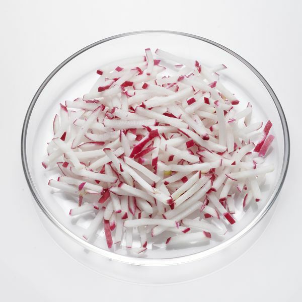 Radieschen Stifte 5 mm  1 kg Beutel  Deutschland