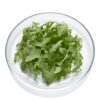 ART_roc030_1 Rucola verzehrfertig Facchini 4 x 200g Italien