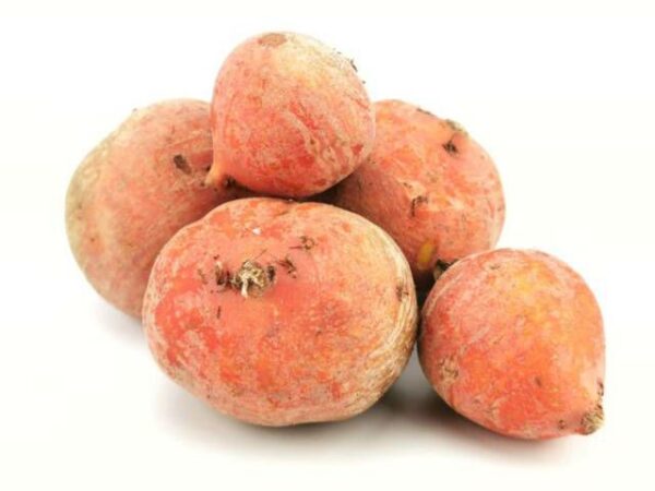 Gelbe Bete  5 kg Kolli lose  Niederlande