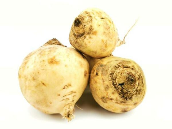 Weisse Bete  5 kg Kolli lose  Niederlande