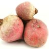 Chioggia Bete  5 kg Stiege lose  Deutschland