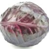 ART_rot024_1 Rotkohl 25 kg Sack lose Deutschland