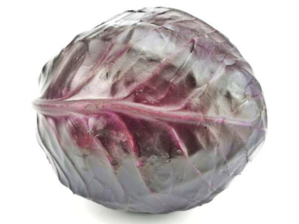 Rotkohl  25 kg Sack lose  Deutschland
