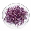 ART_rot503_1 Rotkohl geschnitten 2 kg FEIN (1,2 mm) Deutschland