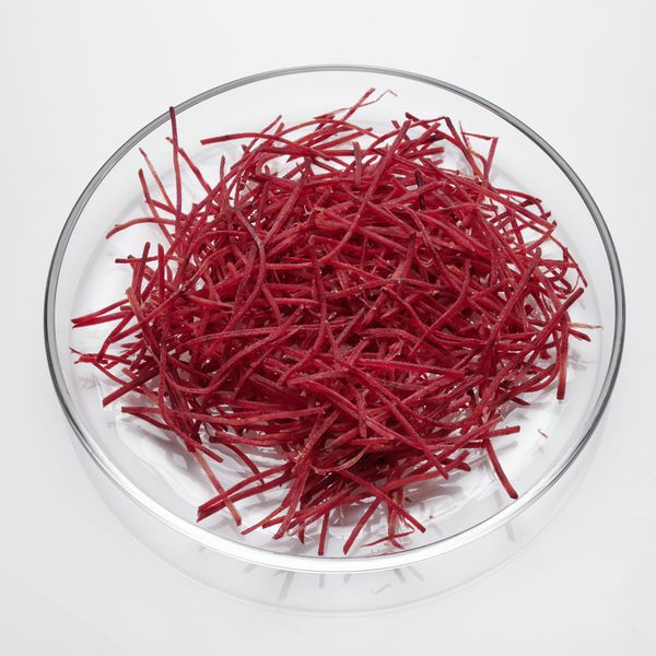 Rote Bete Julienne 1,6 mm  1 kg Beutel  Deutschland