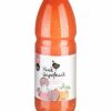 ART_saef151_1 Pink Grapefruit Saft 3,05 Liter Flasche frisch gepresst Deutschland