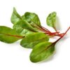 ART_sal049_1 Red Chard verzehrf. Facchini 4 x 200g Italien