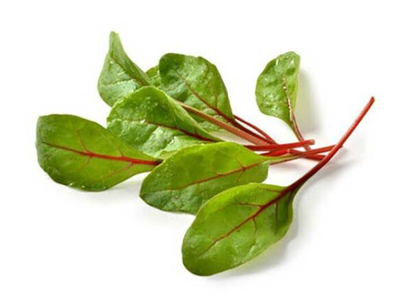 Red Chard verzehrf. Facchini 4 x 200g  Italien