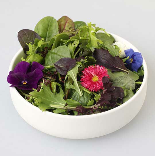 Baby Kräuter Salat  125 g Beutel Keltenhof  Deutschland