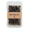 Micro Roter Senf  8 x 40 g Schale Keltenhof  Deutschland