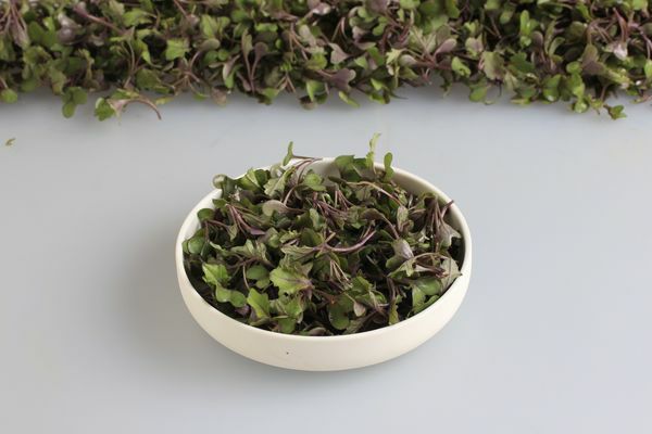 Kale rot  4 x 250 g Schale Keltenhof  Deutschland