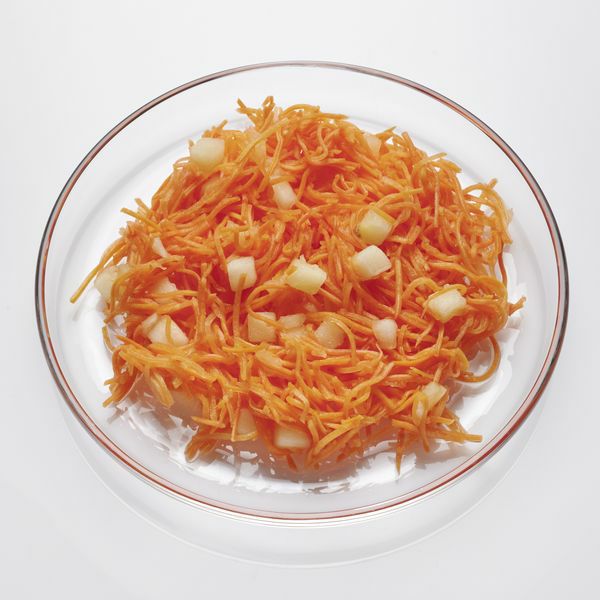 Möhren Apfel Salat vegan  3 kg Eimer  Deutschland