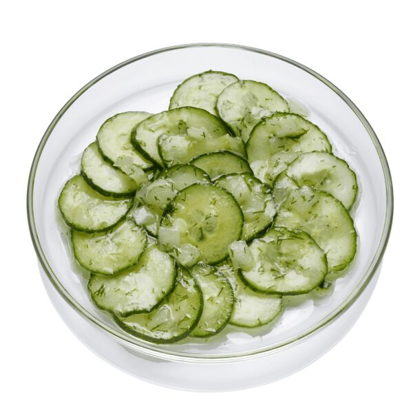 Grüner Gurkensalat vegan  6 x 250g Becher  Deutschland