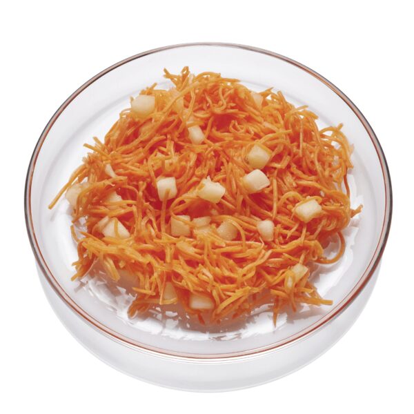 Möhren Apfel Salat  6 x 250 g Becher  Deutschland