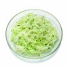 ART_sal732_1 Kohlrabi Gurken Salat 3 kg Eimer Deutschland