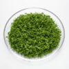 ART_sch700_1 Schnittlauch geschnitten 250 g Becher Kenia