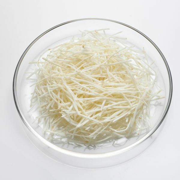 Sellerie Julienne 1,6 mm  1 kg Beutel  Deutschland