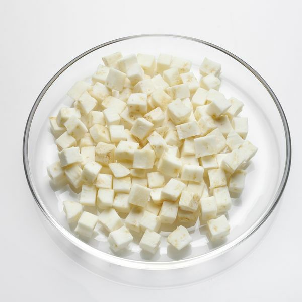 Sellerie Würfel 10 mm  1 kg Beutel  Deutschland