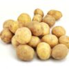 ART_spe012_1 Kartoffel Agata Grenaille 10 kg Karton lose / Neue-Ernte Frankreich