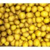 Drillinge gewaschen Les Petites  10 kg Karton lose / festkochend  - Neue-Ernte