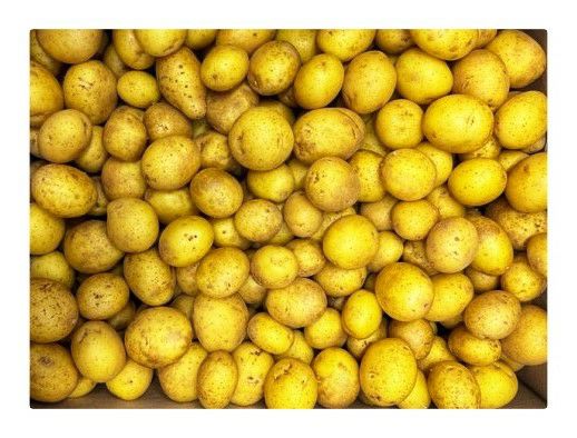 Drillinge gewaschen Les Petites  10 kg Karton lose / festkochend  - Neue-Ernte