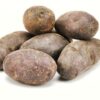 ART_spe160_1 Kartoffel violett Trüffelkartoffel 5 kg Kolli Frankreich